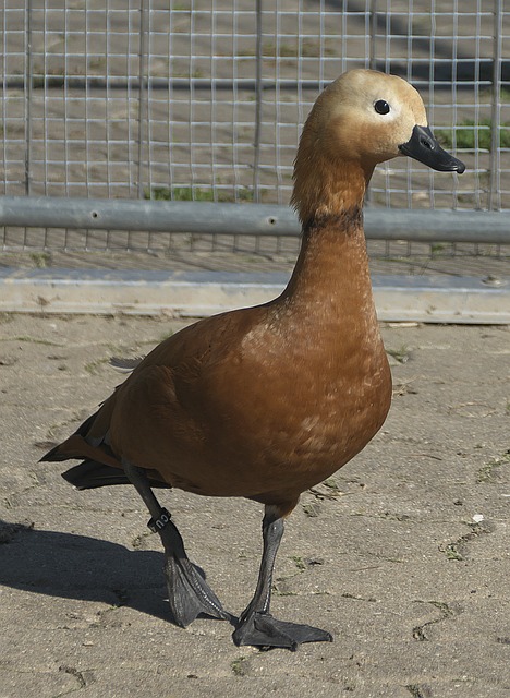 从数据上看