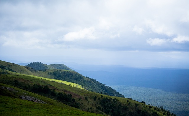 观众们的期 观众们的期