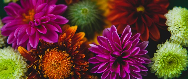 到一支成功 到一支成功