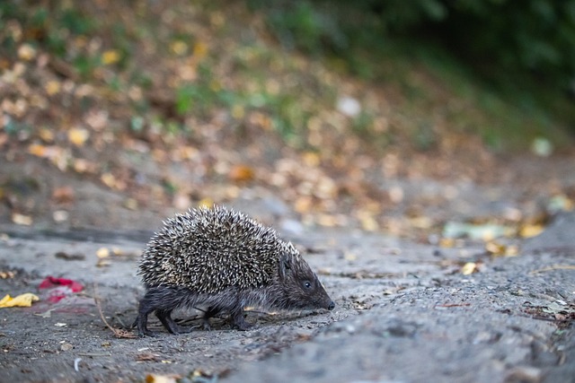 威胁和对全 威胁和对全