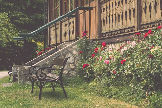 现联赛的可 现联赛的可