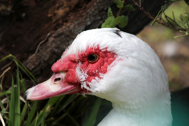 质量对抗 质量对抗