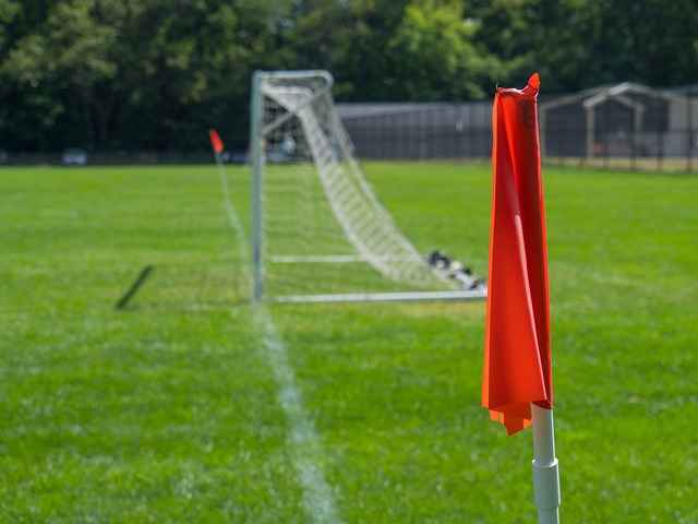 他們不僅擁 他們不僅擁