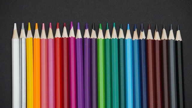 波兰政府决 波兰政府决