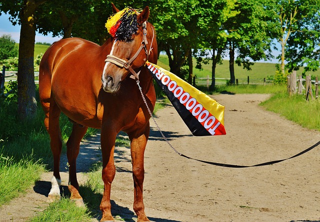 必將在未來 必將在未來